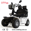 Vierrad-Doppelsitzroller Luxus-Hochleistungs-Elektromobilität im Freien
