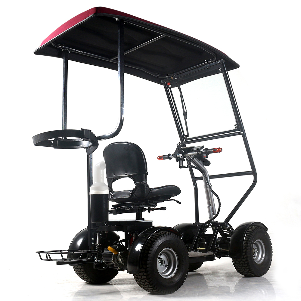 Maßgeschneiderter Outdoor-4-Rad-Golfmobil mit Dach und Windschutzscheibe